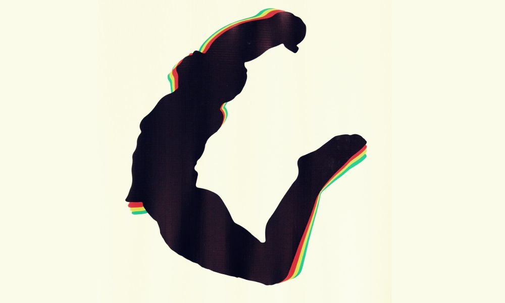 You are currently viewing AFRIKERA BANNER: CONCEIVED IN KOREA. MADE IN AMERICA. 100% ZIMBABWEAN.